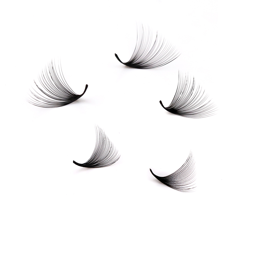 Lashprofessor XL Tray 3D 4D 5D - Eyelash Extension Russian recensie en prijs