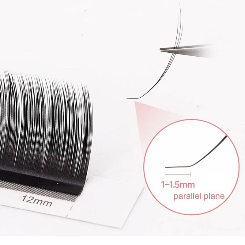 Dream Ballet Camellia Lashes m - Eyelash Extension Russian recensie en prijs