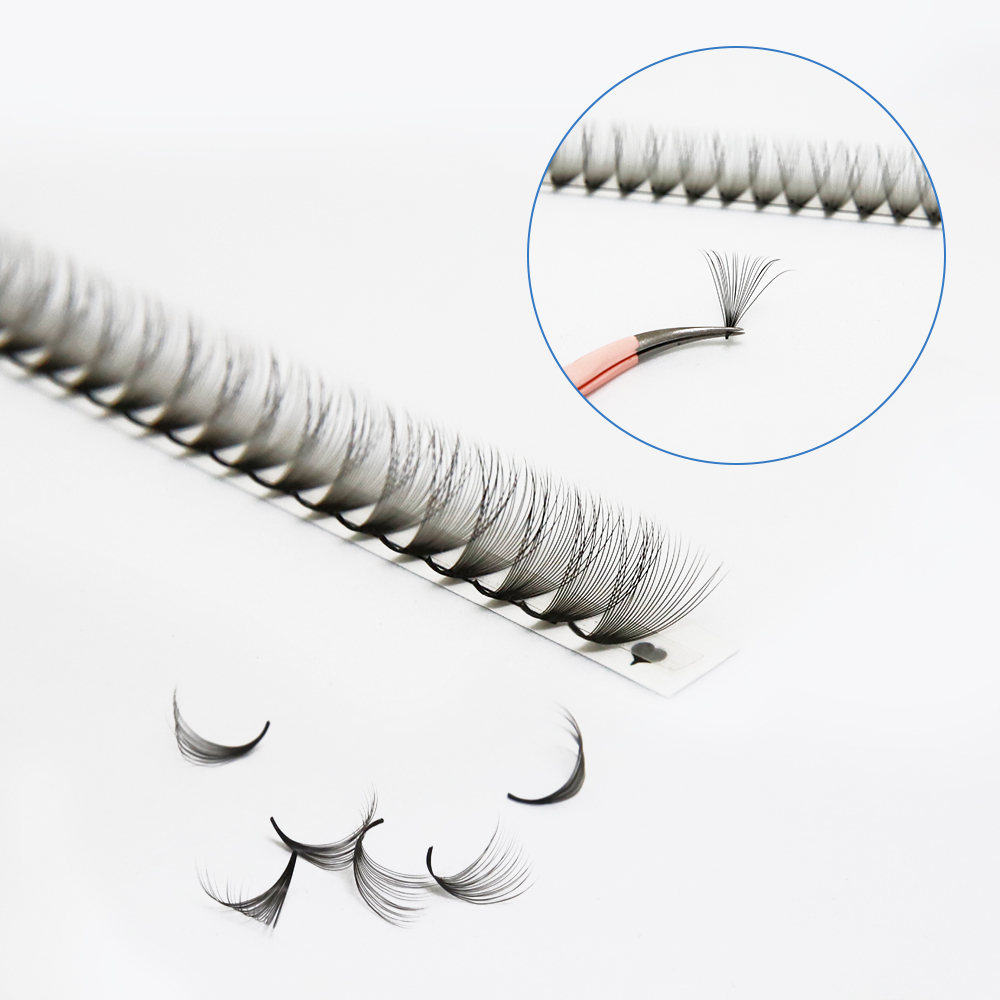JB Jeyelabeau 6D 10D 20D 30D P - Eyelash Extension Russian recensie en prijs
